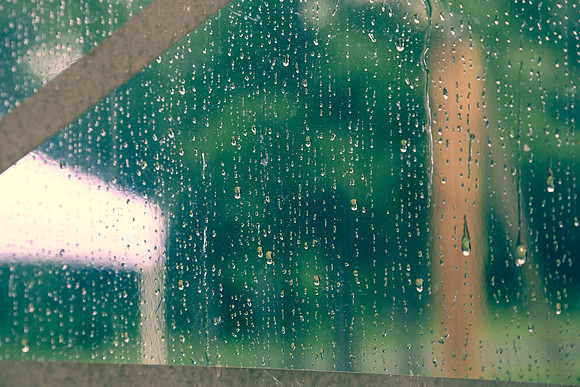 6J3A7746