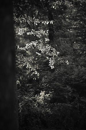 6J3A8011