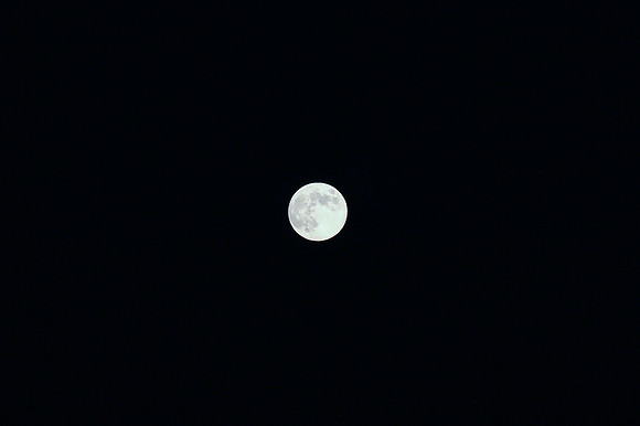 6J3A8218